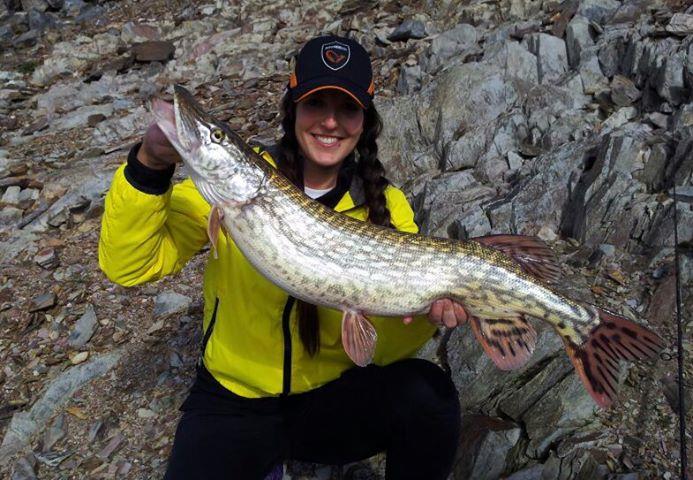 diverse adunate 2 - 162824861968680839301204747082n.jpg